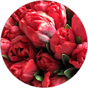 Denise B profile picture